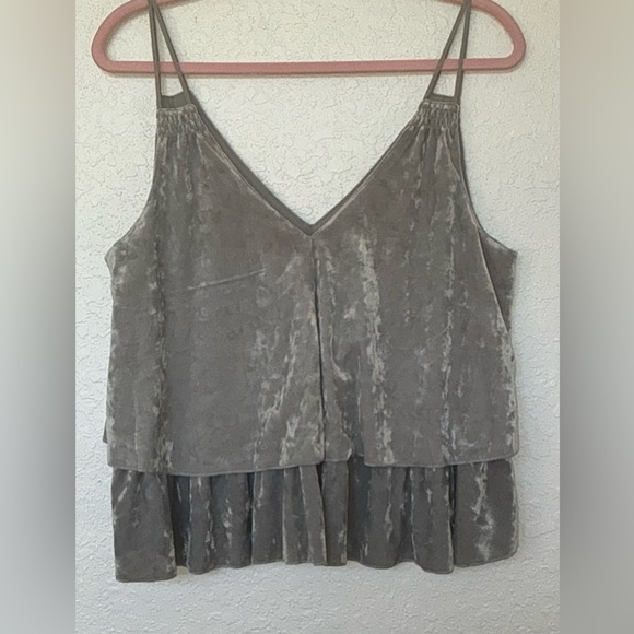 Aerie Gray Velvet Tank - Picture 2 of 11